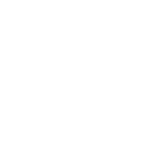 exclusive partner