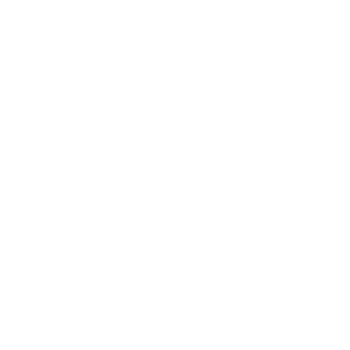 exclusive partner