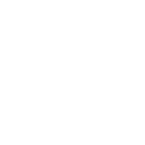 exclusive partner