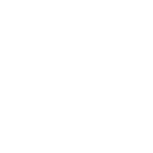 exclusive partner