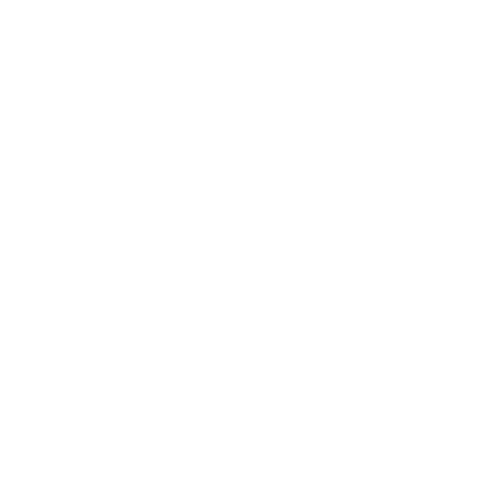 exclusive partner